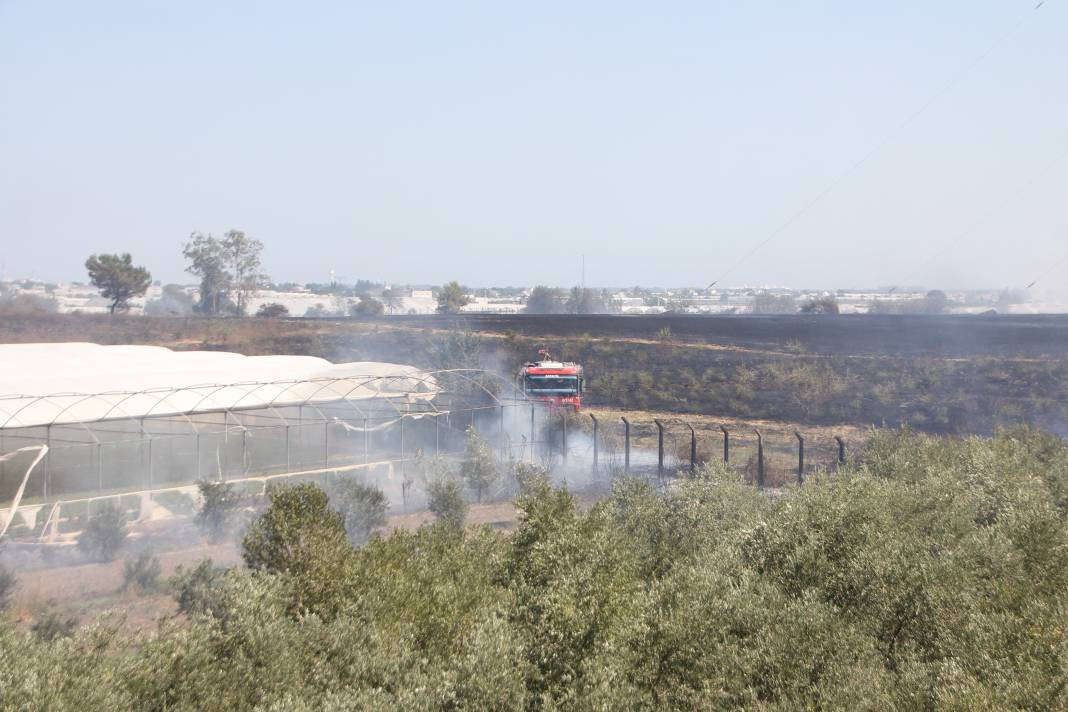 Otluk alanda başladı orman ve seralara sıçradı - Resim: 12